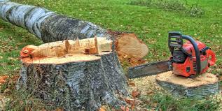 Best Tree Preservation Services  in Saltville, VA
