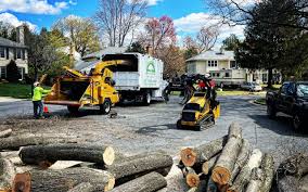 Best Emergency Tree Removal  in Saltville, VA
