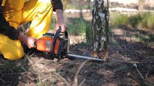 Lawn Grading and Leveling in Saltville, VA
