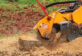 Best Lawn Disease Treatment  in Saltville, VA