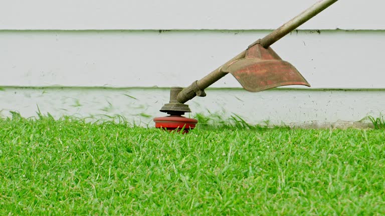 Best Tree and Shrub Care  in Saltville, VA