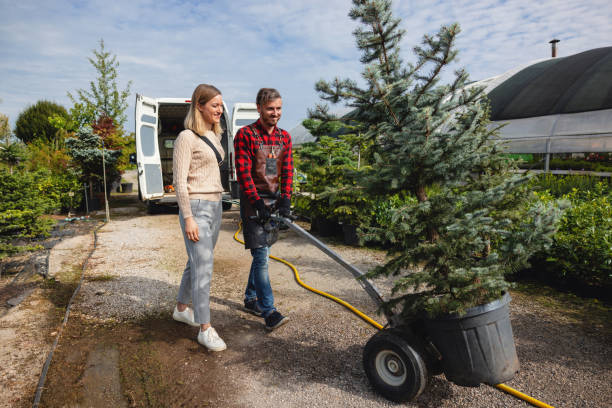 Best Organic Lawn Care Solutions  in Saltville, VA